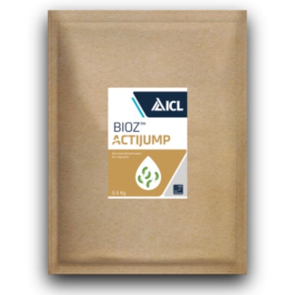 BIOZアクティジャンプ